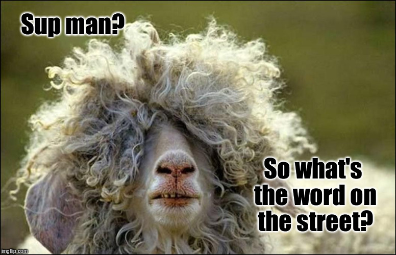  Sup man |  Sup man? So what's the word on the street? | image tagged in funny | made w/ Imgflip meme maker
