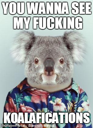 YOU WANNA SEE MY F**KING KOALAFICATIONS | image tagged in koala | made w/ Imgflip meme maker