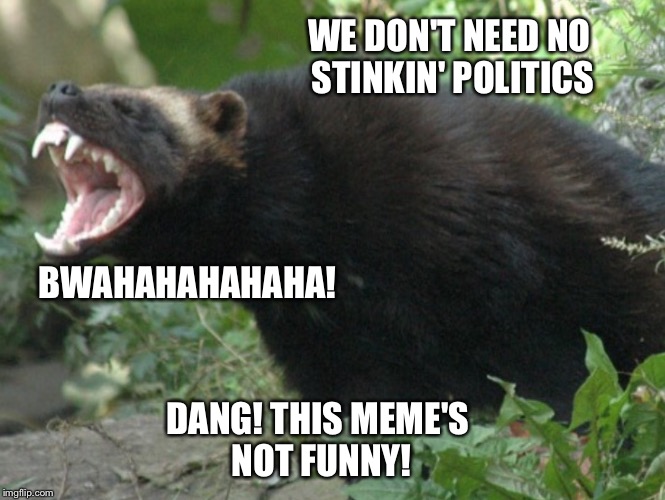 LAUGHING BADGER | BWAHAHAHAHAHA! WE DON'T NEED NO STINKIN' POLITICS; DANG! THIS MEME'S NOT FUNNY! | image tagged in badger,laughing | made w/ Imgflip meme maker