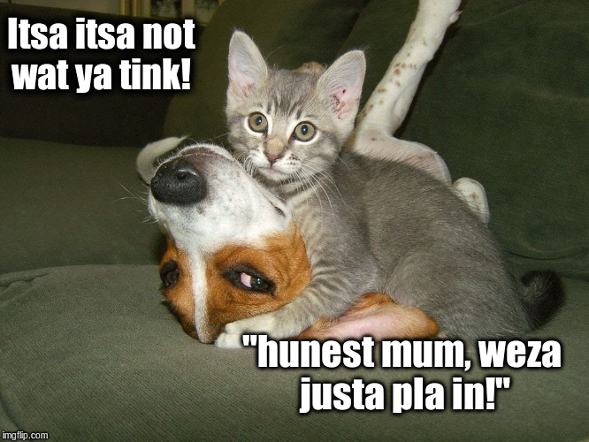 Itsa not wat ya tink! |  Itsa itsa not wat ya tink! "hunest mum, weza justa pla in!" | image tagged in funny memes | made w/ Imgflip meme maker