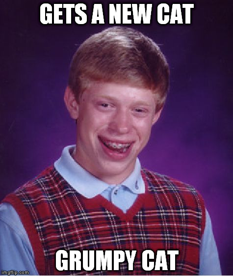 Bad Luck Brian | GETS A NEW CAT; GRUMPY CAT | image tagged in memes,bad luck brian | made w/ Imgflip meme maker
