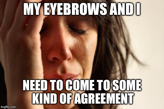 First World Problems | MY EYEBROWS AND I; NEED TO COME TO SOME KIND OF AGREEMENT | image tagged in memes,first world problems | made w/ Imgflip meme maker