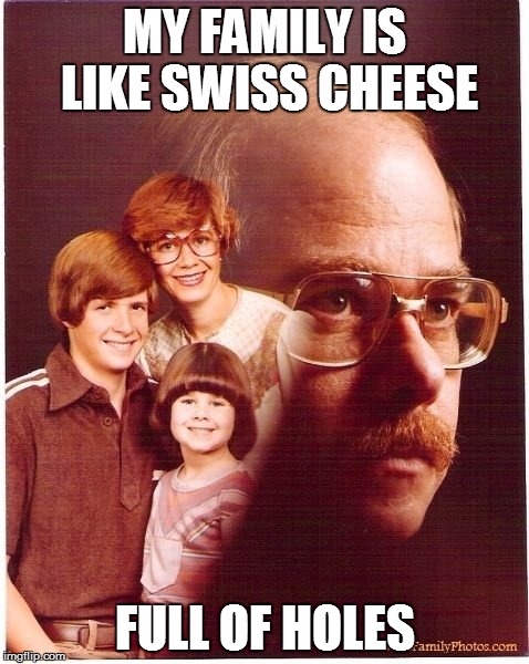 Vengeance Dad Meme | MY FAMILY IS LIKE SWISS CHEESE; FULL OF HOLES | image tagged in memes,vengeance dad | made w/ Imgflip meme maker