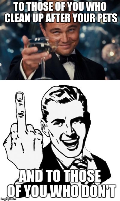 Living in an apartment community that allows dogs | TO THOSE OF YOU WHO CLEAN UP AFTER YOUR PETS; AND TO THOSE OF YOU WHO DON'T | image tagged in dogs,cats,1950s middle finger,leonardo dicaprio cheers | made w/ Imgflip meme maker