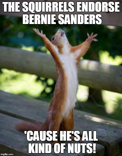 Hello God, it's me, America. We're in all sorts of trouble.... | THE SQUIRRELS ENDORSE BERNIE SANDERS; 'CAUSE HE'S ALL KIND OF NUTS! | image tagged in happy squirrel,bernie sanders,nuts,election 2016 | made w/ Imgflip meme maker