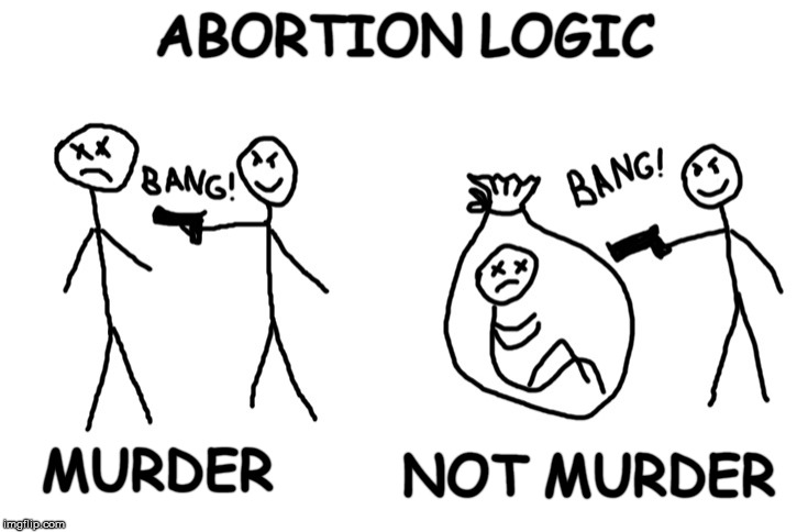 Location does not determine the intrinsic value of human life | ABORTION LOGIC; MURDER; NOT MURDER | image tagged in abortion,liberalism,pro choice,pro life,memes | made w/ Imgflip meme maker