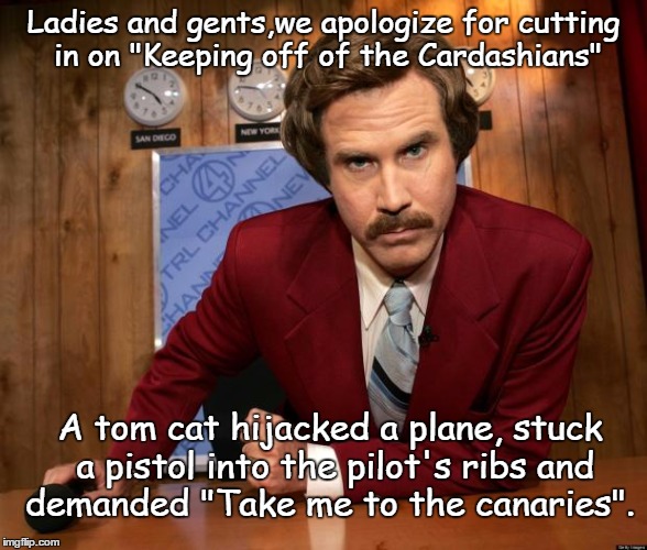 Ron Burgundy in yo face | Ladies and gents,we apologize for cutting in on "Keeping off of the Cardashians"; A tom cat hijacked a plane, stuck a pistol into the pilot's ribs and demanded "Take me to the canaries". | image tagged in ron burgundy in yo face,animals,memes,funny,paxxx | made w/ Imgflip meme maker