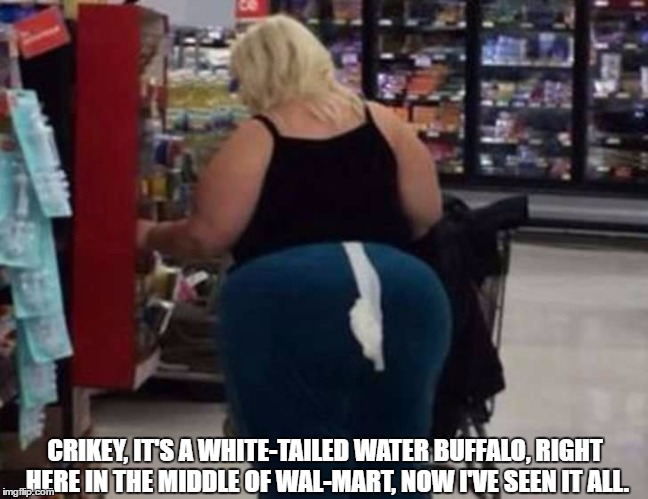 CRIKEY, IT'S A WHITE-TAILED WATER BUFFALO, RIGHT HERE IN THE MIDDLE OF WAL-MART, NOW I'VE SEEN IT ALL. | image tagged in walmart tail | made w/ Imgflip meme maker