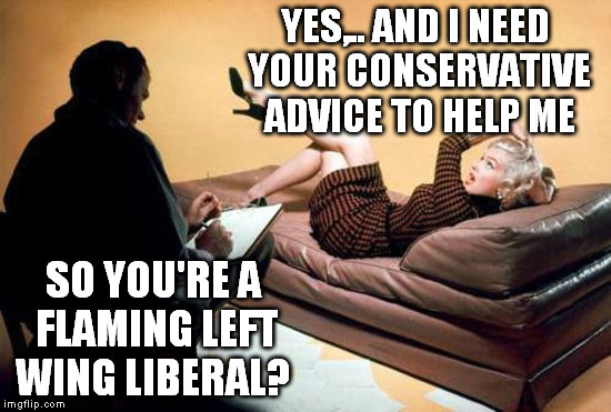 YES,.. AND I NEED YOUR CONSERVATIVE ADVICE TO HELP ME SO YOU'RE A FLAMING LEFT WING LIBERAL? | made w/ Imgflip meme maker