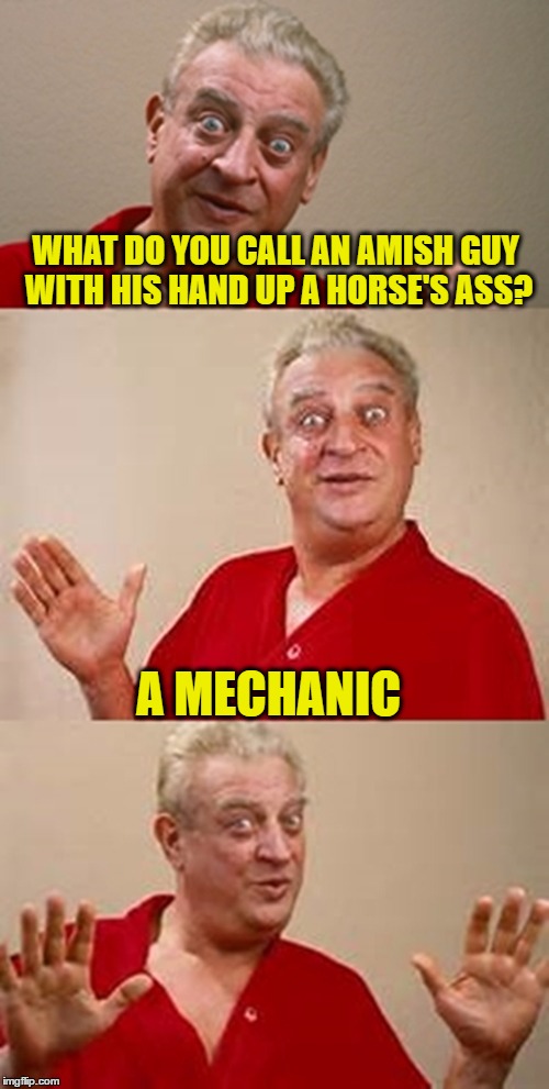 Bad Pun Dangerfield | WHAT DO YOU CALL AN AMISH GUY WITH HIS HAND UP A HORSE'S ASS? A MECHANIC | image tagged in bad pun dangerfield | made w/ Imgflip meme maker