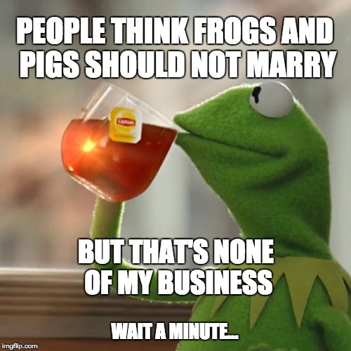 But That's None Of My Business | PEOPLE THINK FROGS AND PIGS SHOULD NOT MARRY; BUT THAT'S NONE OF MY BUSINESS; WAIT A MINUTE... | image tagged in memes,but thats none of my business,kermit the frog | made w/ Imgflip meme maker