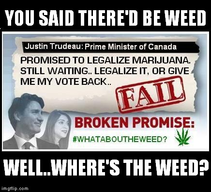 YOU SAID THERE'D BE WEED; WELL..WHERE'S THE WEED? | image tagged in what about the weed | made w/ Imgflip meme maker