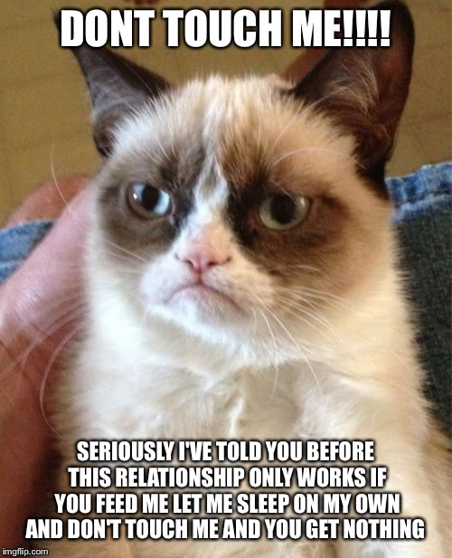 Grumpy Cat | DONT TOUCH ME!!!! SERIOUSLY I'VE TOLD YOU BEFORE THIS RELATIONSHIP ONLY WORKS IF YOU FEED ME LET ME SLEEP ON MY OWN AND DON'T TOUCH ME AND YOU GET NOTHING | image tagged in memes,grumpy cat | made w/ Imgflip meme maker