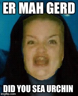 ER MAH GERD; DID YOU SEA URCHIN | image tagged in ermahgerd | made w/ Imgflip meme maker