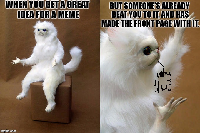 Persian Cat Room Guardian Meme | WHEN YOU GET A GREAT IDEA FOR A MEME; BUT SOMEONE'S ALREADY BEAT YOU TO IT, AND HAS MADE THE FRONT PAGE WITH IT. | image tagged in persian cat room guardian | made w/ Imgflip meme maker