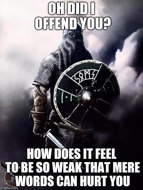 :D | OH DID I OFFEND YOU? HOW DOES IT FEEL TO BE SO WEAK THAT MERE WORDS CAN HURT YOU | image tagged in viking warrior,memes | made w/ Imgflip meme maker