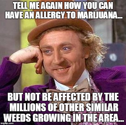 Creepy Condescending Wonka | TELL ME AGAIN HOW YOU CAN HAVE AN ALLERGY TO MARIJUANA... BUT NOT BE AFFECTED BY THE MILLIONS OF OTHER SIMILAR WEEDS GROWING IN THE AREA... | image tagged in memes,creepy condescending wonka | made w/ Imgflip meme maker