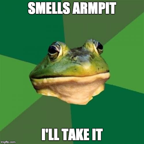 Foul Bachelor Frog | SMELLS ARMPIT; I'LL TAKE IT | image tagged in memes,foul bachelor frog | made w/ Imgflip meme maker