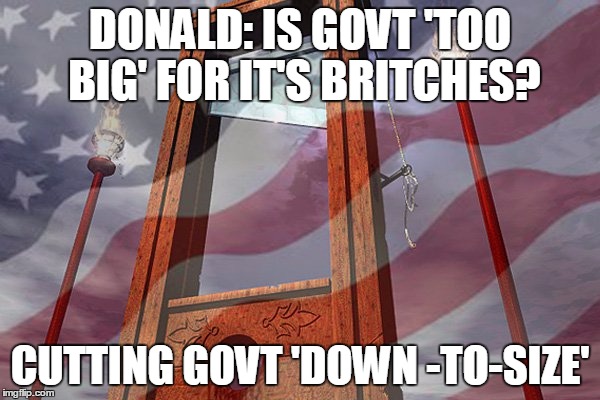 DONALD: IS GOVT 'TOO BIG' FOR IT'S BRITCHES? CUTTING GOVT 'DOWN -TO-SIZE' | image tagged in donald downsizing govt | made w/ Imgflip meme maker