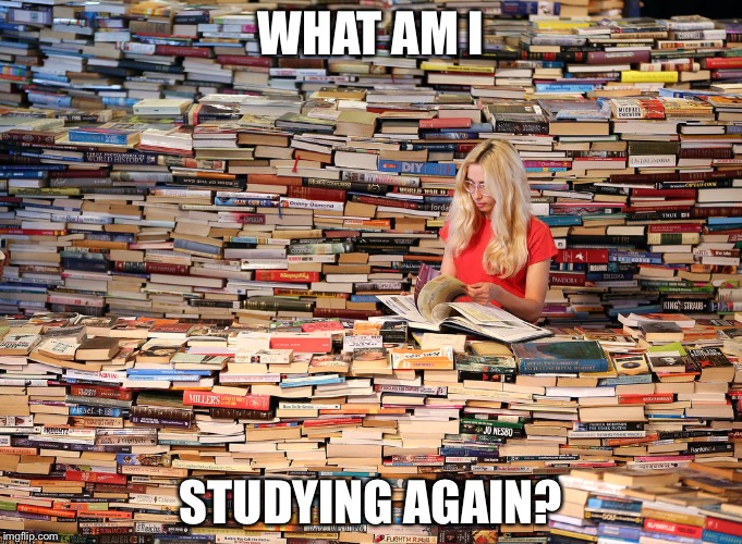WHAT AM I; STUDYING AGAIN? | image tagged in student | made w/ Imgflip meme maker