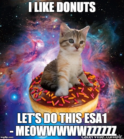 Space Donut Cat | I LIKE DONUTS; LET'S DO THIS ESA1 - MEOWWWWWZZZZZZ | image tagged in space cat,donut,cat and donut,i like donuts | made w/ Imgflip meme maker