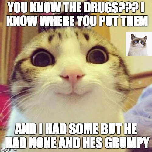 Smiling Cat Meme | YOU KNOW THE DRUGS???
I KNOW WHERE YOU PUT THEM; AND I HAD SOME BUT HE HAD NONE AND HES GRUMPY | image tagged in memes,smiling cat | made w/ Imgflip meme maker