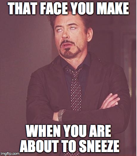 Face You Make Robert Downey Jr | THAT FACE YOU MAKE; WHEN YOU ARE ABOUT TO SNEEZE | image tagged in memes,face you make robert downey jr | made w/ Imgflip meme maker