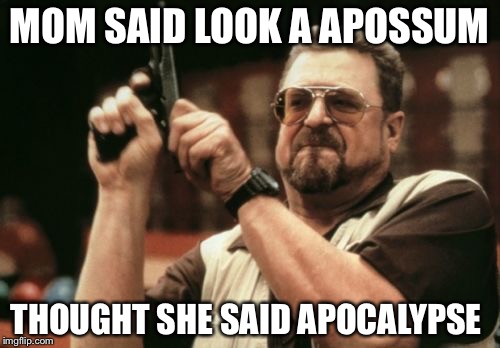Am I The Only One Around Here | MOM SAID LOOK A APOSSUM; THOUGHT SHE SAID APOCALYPSE | image tagged in memes,am i the only one around here | made w/ Imgflip meme maker