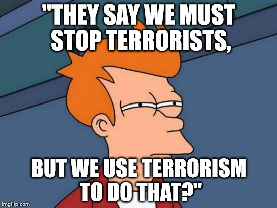 Futurama Fry | "THEY SAY WE MUST STOP TERRORISTS, BUT WE USE TERRORISM TO DO THAT?" | image tagged in memes,futurama fry | made w/ Imgflip meme maker