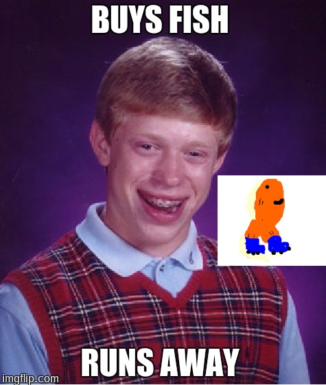 Bad Luck Brian Meme | BUYS FISH RUNS AWAY | image tagged in memes,bad luck brian | made w/ Imgflip meme maker