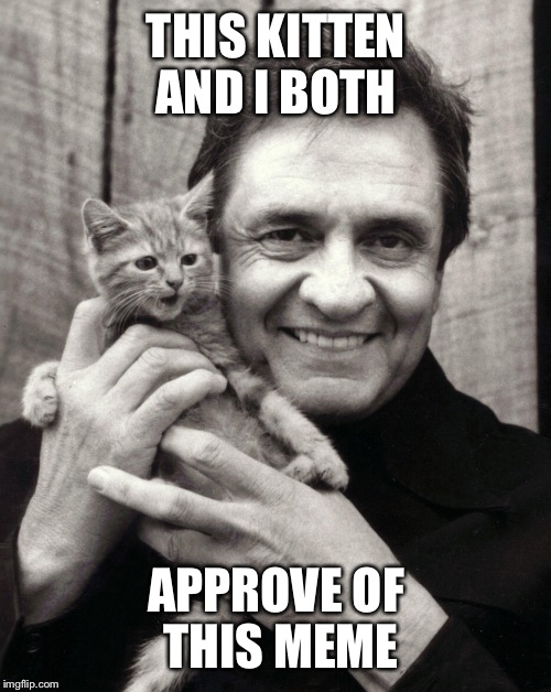 THIS KITTEN AND I BOTH APPROVE OF THIS MEME | made w/ Imgflip meme maker