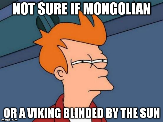 Futurama Fry | NOT SURE IF MONGOLIAN; OR A VIKING BLINDED BY THE SUN | image tagged in memes,futurama fry | made w/ Imgflip meme maker