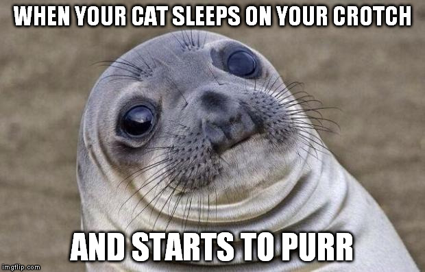 Awkward Moment Sealion | WHEN YOUR CAT SLEEPS ON YOUR CROTCH; AND STARTS TO PURR | image tagged in memes,awkward moment sealion | made w/ Imgflip meme maker