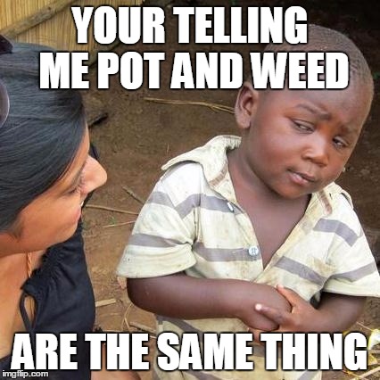 Third World Skeptical Kid Meme | YOUR TELLING ME POT AND WEED; ARE THE SAME THING | image tagged in memes,third world skeptical kid | made w/ Imgflip meme maker