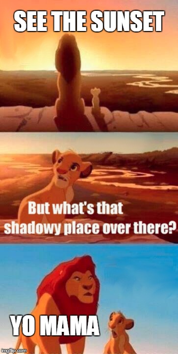 Simba Shadowy Place | SEE THE SUNSET; YO MAMA | image tagged in memes,simba shadowy place | made w/ Imgflip meme maker