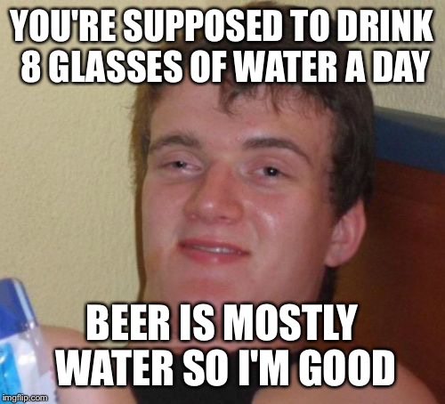 Stay hydrated my friend | YOU'RE SUPPOSED TO DRINK 8 GLASSES OF WATER A DAY; BEER IS MOSTLY WATER SO I'M GOOD | image tagged in memes,10 guy,funny,beer | made w/ Imgflip meme maker