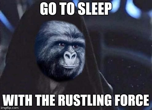 Emperor Rustling | GO TO SLEEP WITH THE RUSTLING FORCE | image tagged in emperor rustling | made w/ Imgflip meme maker