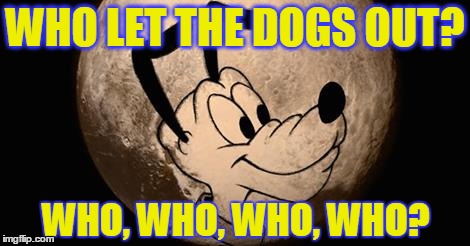 WHO LET THE DOGS OUT? WHO, WHO, WHO, WHO? | made w/ Imgflip meme maker