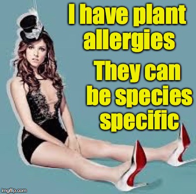 Laugh Anna Laugh | I have plant allergies They can be species specific | image tagged in laugh anna laugh | made w/ Imgflip meme maker