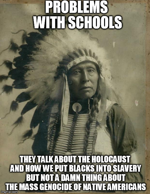 Indian illegal immigration | PROBLEMS WITH SCHOOLS; THEY TALK ABOUT THE HOLOCAUST AND HOW WE PUT BLACKS INTO SLAVERY BUT NOT A DAMN THING ABOUT THE MASS GENOCIDE OF NATIVE AMERICANS | image tagged in indian illegal immigration | made w/ Imgflip meme maker