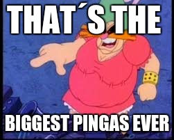 THAT´S THE; BIGGEST PINGAS EVER | image tagged in memes | made w/ Imgflip meme maker