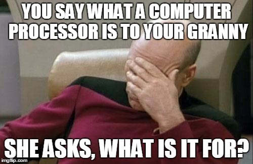 Captain Picard Facepalm | YOU SAY WHAT A COMPUTER PROCESSOR IS TO YOUR GRANNY; SHE ASKS, WHAT IS IT FOR? | image tagged in memes,captain picard facepalm | made w/ Imgflip meme maker