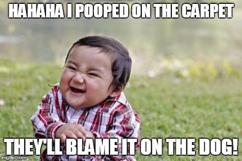 Evil Toddler | HAHAHA I POOPED ON THE CARPET; THEY'LL BLAME IT ON THE DOG! | image tagged in memes,evil toddler | made w/ Imgflip meme maker