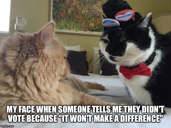 #FriskySanders for President! | MY FACE WHEN SOMEONE TELLS ME THEY DIDN'T VOTE BECAUSE "IT WON'T MAKE A DIFFERENCE" | image tagged in feelthebern,bernie sanders,vote bernie sanders,stillsanders | made w/ Imgflip meme maker