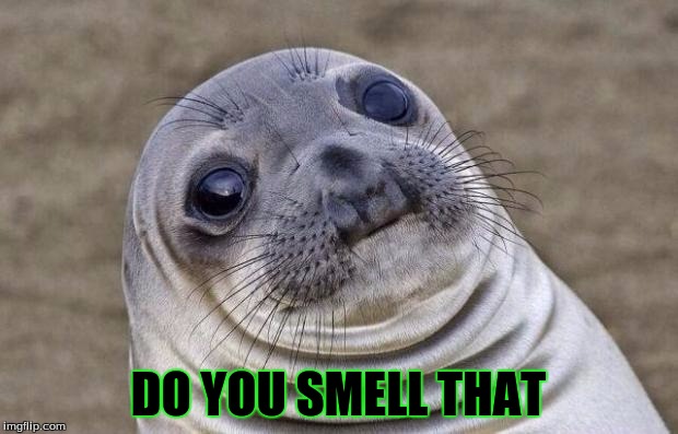 Awkward Moment Sealion | DO YOU SMELL THAT | image tagged in memes,awkward moment sealion | made w/ Imgflip meme maker