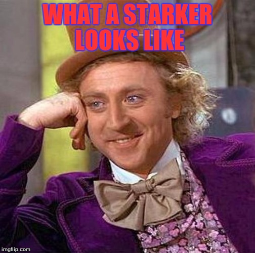 Creepy Condescending Wonka | WHAT A STARKER LOOKS LIKE | image tagged in memes,creepy condescending wonka | made w/ Imgflip meme maker
