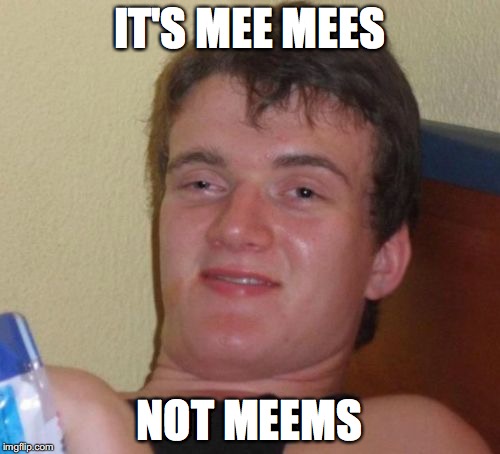 duh... | IT'S MEE MEES; NOT MEEMS | image tagged in memes,10 guy | made w/ Imgflip meme maker