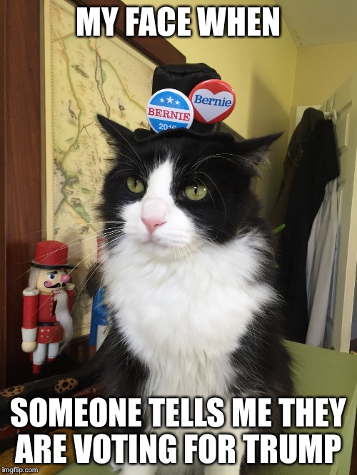 #FriskySanders for President! | MY FACE WHEN; SOMEONE TELLS ME THEY ARE VOTING FOR TRUMP | image tagged in feel the bern,feelthebern,donald trump,trump,bernie sanders | made w/ Imgflip meme maker