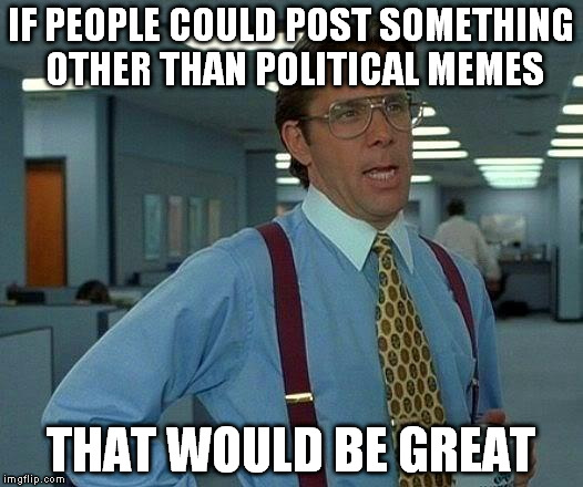 That Would Be Great Meme | IF PEOPLE COULD POST SOMETHING OTHER THAN POLITICAL MEMES; THAT WOULD BE GREAT | image tagged in memes,that would be great | made w/ Imgflip meme maker