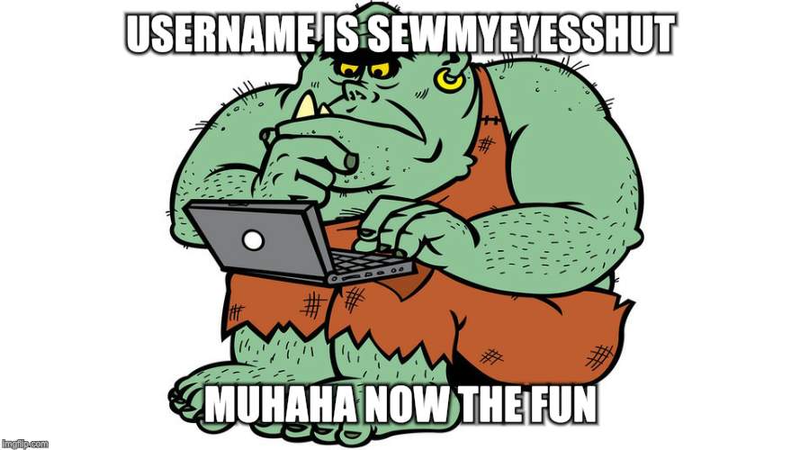 Troll | USERNAME IS SEWMYEYESSHUT MUHAHA NOW THE FUN | image tagged in troll | made w/ Imgflip meme maker